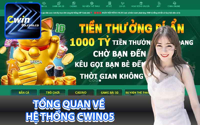 Tổng quan về hệ thống Cwin05