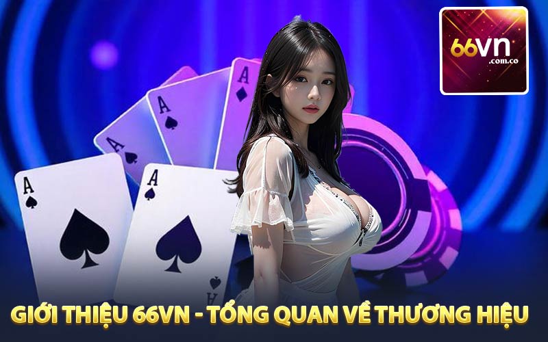 Giới thiệu 66VN với tổng quan về thương hiệu
